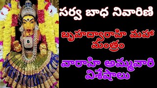 సర్వ బాధ నివారణ బృహద్వారాహి మహా మంత్రం| వారాహి అమ్మవారి విశేషాలు