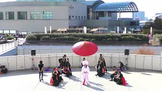 湘南燈火　ドリーム夜さ来い祭り　フジテレビ会場