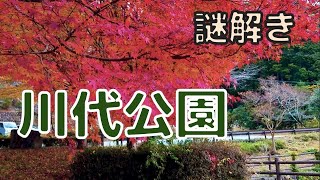 第73回 紅葉の川代公園【謎解きレベル★★★】/[Travel]Hyogo][Japan]