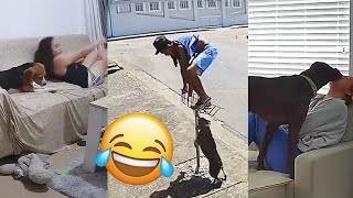 Best Fails Compilation | Hilarious and Epic Moments Gone Wrong Part 7