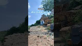 పుష్పగిరి పాపవినాశనేశ్వరుడు | Pushpagiri Papa vinasana cave shore temple