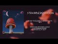 StrawberryMoon | Road To Eleusis // Immortality Key | Official Audio