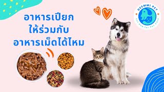 ให้อาหารเปียกผสมอาหารเม็ดกับหมาแมวได้มั้ย | สัตวแพทย์ทีม Deemmi