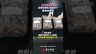 看了頭皮發麻！ 進境包裹裝3袋蚯蚓幹，最終被海關查獲。｜佛山Street｜資訊｜海關