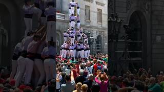 Reaching New Heights: Witness the Incredible Human Castell of Barcelona! #shorts #barcelona