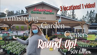 Shopping for Houseplants | Armstrong Garden Centers Round-up (San Gabriel Valley Edition)