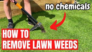 How to Remove Lawn Weeds the Easy Way - No Chemicals Needed!