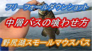 フリーフォールダウンショット中層バスの喰わせ方　野尻湖スモールマウスバス