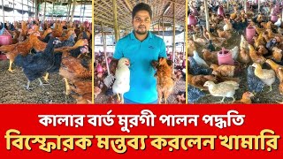 কালার বার্ড মুরগি পালন করার আগে খামারির কথাগুলো শুনুন।মুরগির পালনের ইচ্ছা বেড়ে যাবে। কর্মফল জানুন।