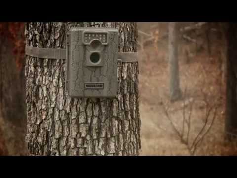 Best Trail Camera Reviewed Tested Compared Best Trail Camera Reviewed Tested Compared