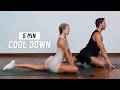 5 Min Full Body Cool Down Stretches - Do After Every Workout