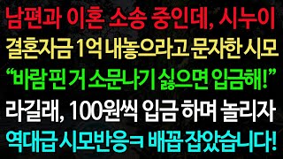 실화사연-남편과 이혼 소송 중인데, 시누이 결혼자금 1억 내놓으라고 문자한 시모 “바람 핀 거 소문나기 싫으면 입금해!” 라길래, 100원씩 입금 하며 놀리자 역대급 시모반응