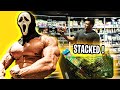 Ultimate Bodybuilding Grocery Haul – What I Eat!