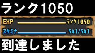 【パズドラ】ランク1050到達しました