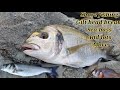 Gilt Head Bream fishing in Guernsey 🇬🇬