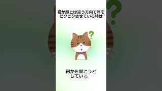 猫の耳に関する雑学　 #1分間 #雑学 #1分雑学 #猫