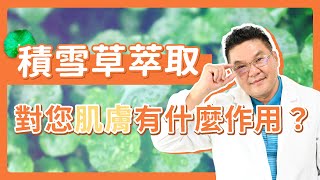 如何選擇適合的積雪草？「積雪草萃取的肌膚作用」讓你重現美肌新革命｜Dr.Hsieh達特醫