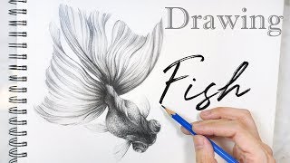 Drawing Fish 🐟 Pencil Drawing Goldfish Sketch 鉛筆畫 金魚 素描