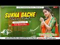 Sukha Gache Aamer Makul - Remix | New Purulia Dj Song | Full Dehati Mix | Dj Chiranjeet Remix