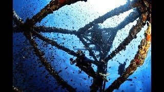 เรือหลวงช้าง - ดำน้ำเกาะช้าง dive site: เรือหลวงช้าง หินลูกบาศก์