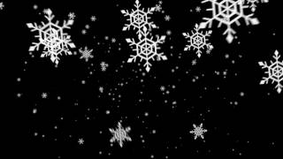 Snowflakes falling - Free motion graphics // 50fps