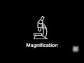 How to calculate magnification