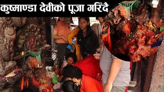 आज बडादसैंको चौथो दिन, कुष्माण्डा देवीको पूजा गरिँदै || 4th Day Of Dashian