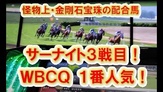 スターホース4: サーナイト3戦目!! WBCQ 1番人気!!