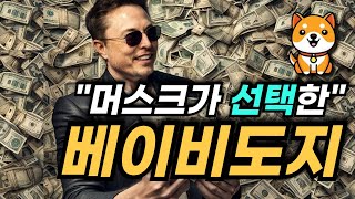 베이비도지코인 머스크의 선택으로 업비트 상장과 역대급 소각 시작됩니다