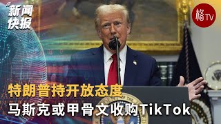 特朗普对马斯克或甲骨文收购TikTok持开放态度