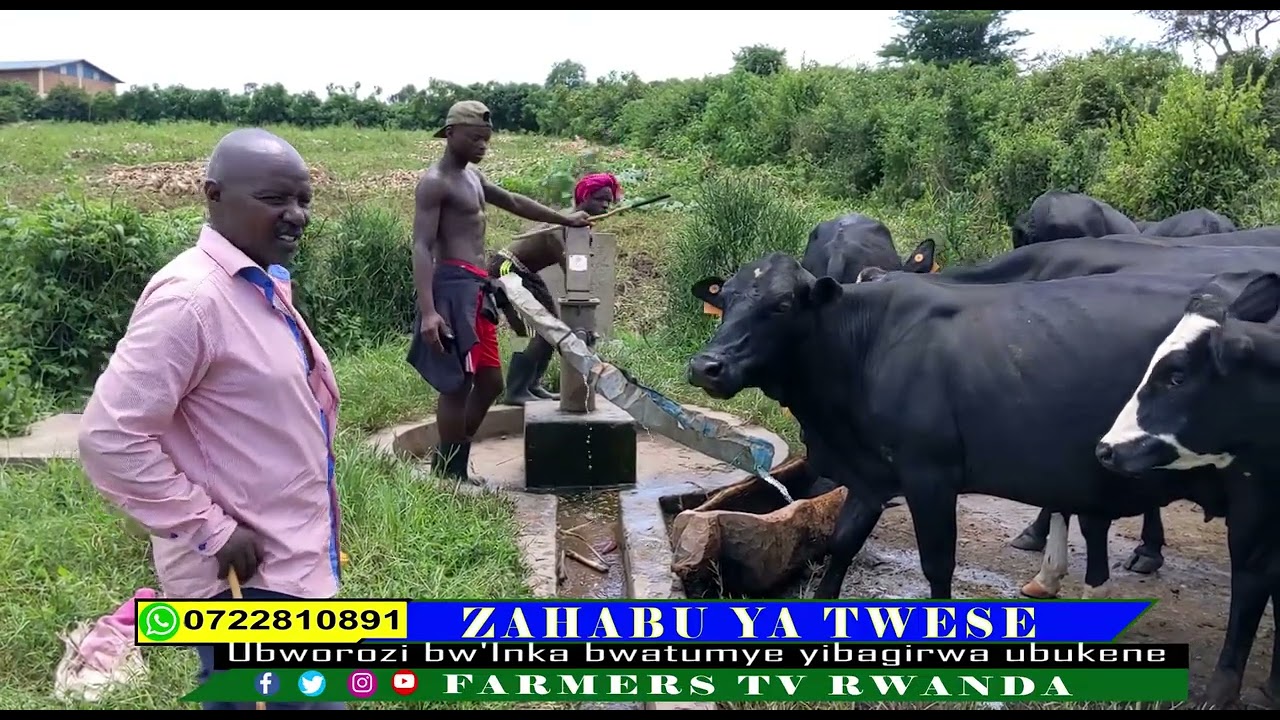 UBWOROZI BW'INKA BWAMUTANDUKANYIJE N'UBUKENE UBUHINZI BUSHINGA IMIZI ...