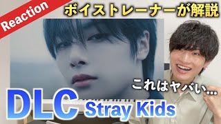 【Stray Kids】爽やかさと切なさの絶妙な温度感。 ボイストレーナーがStray Kids \