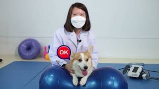 EP3 Ultrasound Therapy (การรักษาด้วยเครื่องอัลตร้าซาวด์)