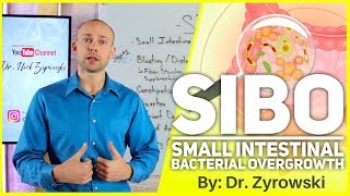 Small Intestine Bacterial Overgrowth | How To Reverse SIBO