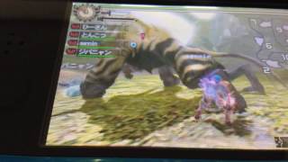 【MH4】高難度:怒髪の金獅子狩猟！