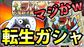 【妖怪ウォッチぷにぷに】転生ガシャでZランク『万尾獅子舞』狙いで回したら・・・マジかｗｗｗ妖怪ウォッチ Yo-kai Watch ニャン速ちゃんねる