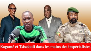 Issa Diawara: Mali - RDC: Stop à cette campagne de dénigrement contre les autorités Maliennes