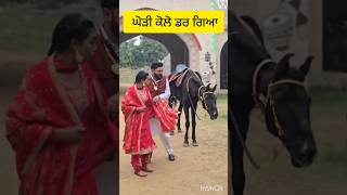 ਆਹ ਮੁੰਡਾ ਪ੍ਰੀਵੈਡਿੰਗ ਤੇ ਘੋੜੀ ਕੋਲੋ ਹੀ ਡਰ ਗਿਆ | Punjabi funny video