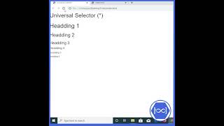 Universal Selector CSS