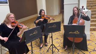 Sweethearts Music Canberra String Trio performs \