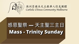 感恩聖祭 —  7/6/2020 天主聖三主日 (Mass - Trinity Sunday)