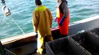 Lobster Fishing, Hauling gear off Yarmouth NS.