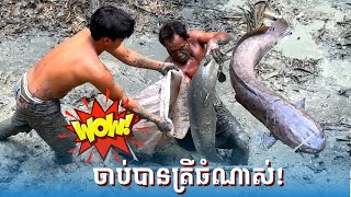 ចាប់បានត្រីធំណាស់ | Wow My dad caught a big fish in a pond |