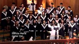 [가톨릭합창단] Ave Maria - Gregorian Chant,  명동성당