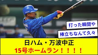 日ハム・万波中正、リーグトップ独走の15号ホームラン！！！！【5ch反応】