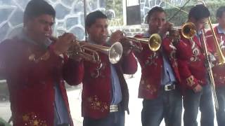 Perla de Michoacan 2014 - Victory "A Viento"