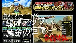 Dqmsl 報酬アップなので、今さらだけど、黄金の巨竜と戦ってみたよ　ドラゴンクエストモンスターズスーパーライト[無課金] うるち