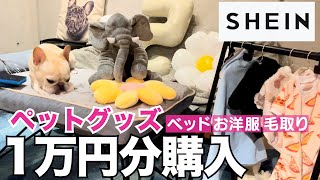 【破壊ワンコにオススメ】SHEINでベットグッズ1万円買ってみた!! #shein