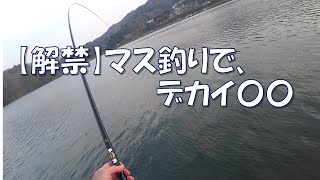 【 強烈な引き】マブナなめたらあかん！【44秒】相模湖・島田湖【＃Shorts】湖マス釣り解禁　Japan’s Secret Fishing Videos.