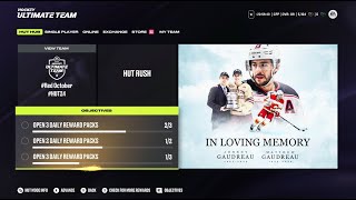 RIP Johnny and Matthew Gaudreau | Quick Update On Me, NHL 24 \u0026 NHL 25 News